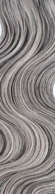 Salt and Pepper hair color swatch